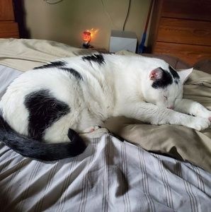 Meet your Posher, Pattie